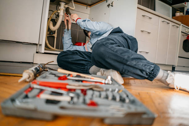 Best Plumbing Inspection Services  in South Les, AK
