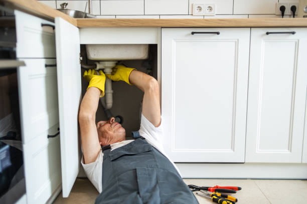 Best Affordable Plumber Near Me  in South Les, AK